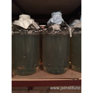 Horse Tetanus Antiserum for Human Use
